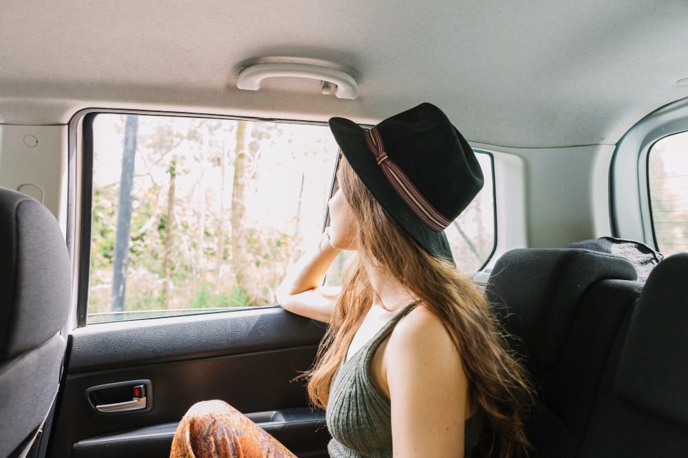 Шторки для автомобиля вместо тонировки - виды, особенности и правила выбора в 2026 году