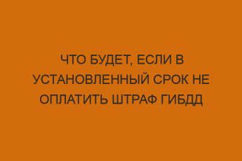 Что будет, если в установленный срок не оплатить штраф ГИБДД 4 chto budet esli v ustanovlennyy srok ne oplatit shtraf gibdd 1347