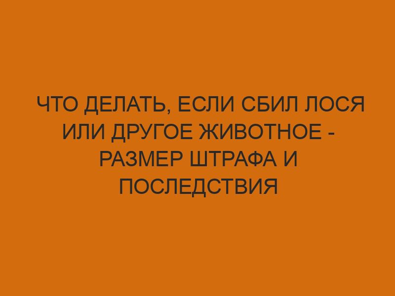 chto delat esli sbil losya ili drugoe zhivotnoe razmer shtrafa i posledstviya 2151