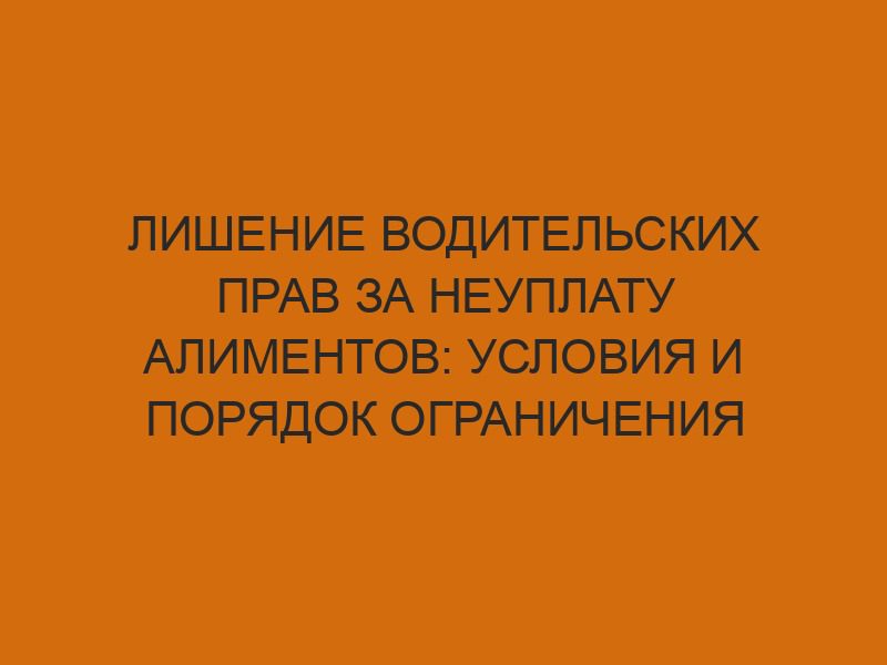 Лишение водительских прав за неуплату алиментов: условия и порядок ограничения права 1 lishenie voditelskih prav za neuplatu alimentov usloviya i poryadok ogranicheniya prava 623