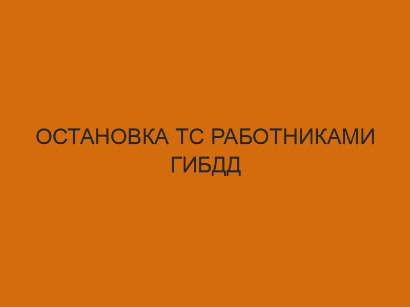 Остановка ТС работниками ГИБДД 1 ostanovka ts rabotnikami gibdd 2821